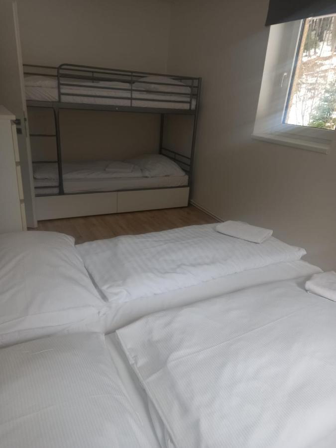 Apartmany Za Sneznikem Dolni Morava Exterior photo